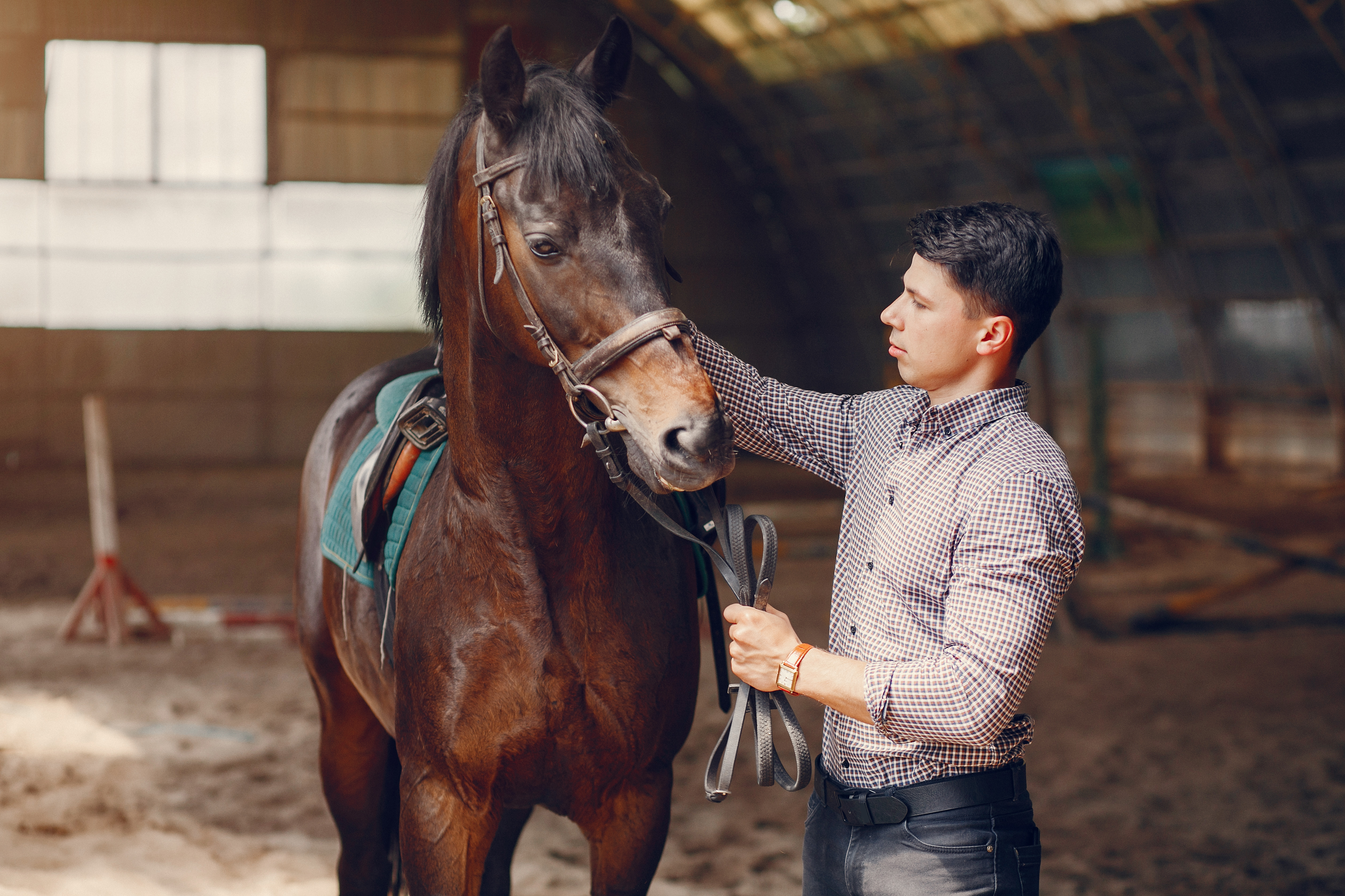 Horse